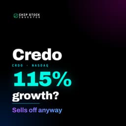 The Fastest-Growing Chip Stock Is Also the Most Hated