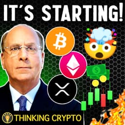 BITCOIN & ALTCOINS SHOW POSITIVE PRICE ACTION! | WHAT'S NEXT?