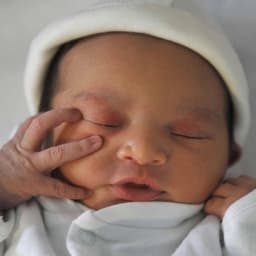 Why are birth rates falling across the world?
