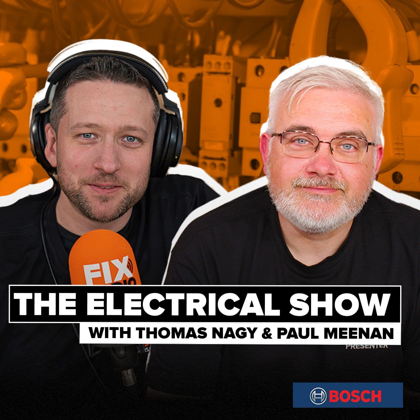 The Electrical Show