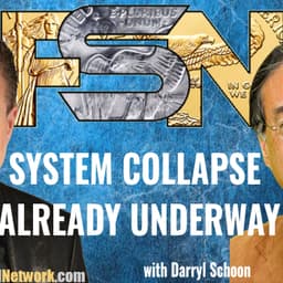 System Collapse Already Underway - Darryl Schoon #6386