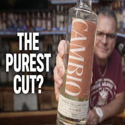 EL CORAZÓN: Cambio Cellar Series #4 Blanco Review | The Purest Cut?