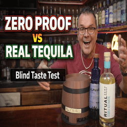 Zero Proof vs Real Tequila | Blind Taste Test (Dry January)