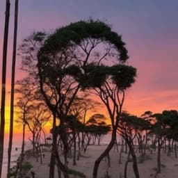 Square Merchant Bitcoin Adoption And BTC Maps - Nathan Day #598