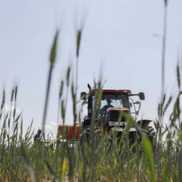 How the farm bill became the everything bill