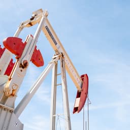 So many different flavors of oil