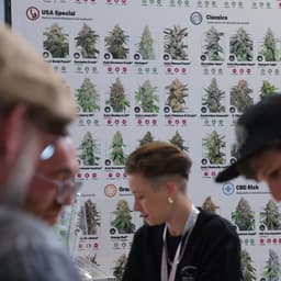 Fixing the hemp loophole