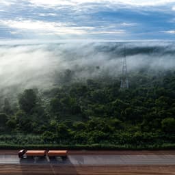 Brazilian soy farmers want Amazon restrictions to be lifted