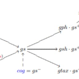 How Profit Participation Shapes Risk and Returns in Traditional Life Insurance