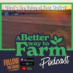 330: What's The Value of Your Stalks?
