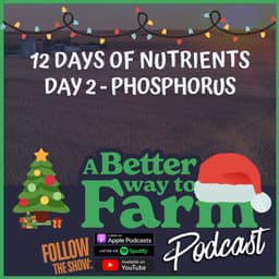 12 Days of Nutrients - Day 2: Phosphorus