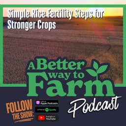 352: Simple Rice Fertility Steps for Stronger Crops