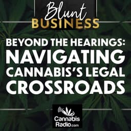 Beyond the Hearings: Navigating Cannabis's Legal Crossroads