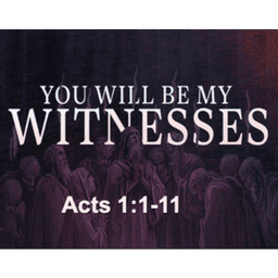 You Will Be My Witnesses
