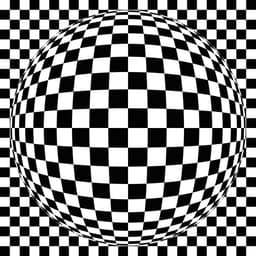 Fossil Watch - first U.S. bankruptcy hearing 11/12/2025 for the iconic watchmaker