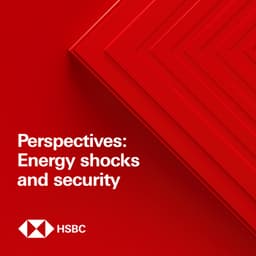 Perspectives: Energy shocks and security