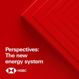 Perspectives: The new energy system