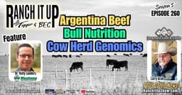 Argentina Beef, Bull Nutrition, Cow Herd Genomics