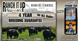 Breeding Bull Guarantee: A 4-Year Guarantee On Breeding Bulls From Birch Creek Angus