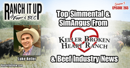 Top Simmental & SimAngus Genetics & Beef Industry News