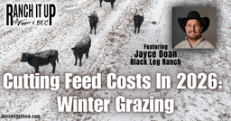 Cutting Feed Costs In 2026 With Winter Grazing, Cattle News, And Bull Sales