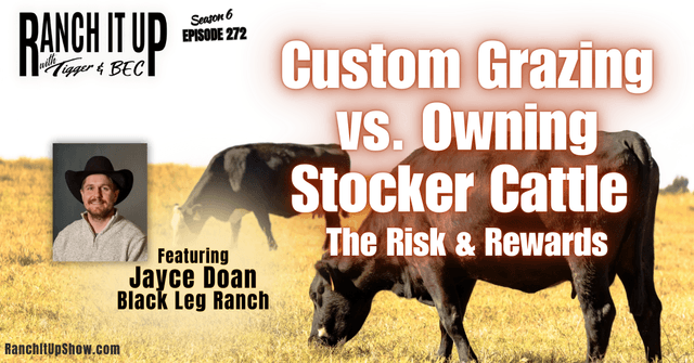 Custom Grazing Vs. Owning Stocker Cattle. The Risk & Reward
