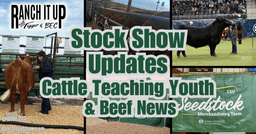 Stock Show Updates, Cattle Teaching Kids, Ranch Jobs, & Beef News