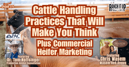 Cattle Handling Practices Protecting People and Livestock & Commercial Heifer Marketing