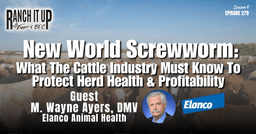 New World Screwworm: What The Cattle Industry Must Know To Protect Herd Health & Profitability