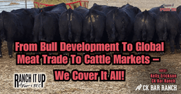 Bull Development, Meat Trade & Costs, Lab Grown Meat, & Packer Consolidation