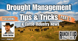 Drought Management Tips & Tricks & Cattle Industry News
