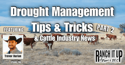 Drought Management Tips & Tricks & Cattle Industry News Part 2