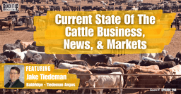 Current State Of The Cattle Business, News, & Markets
