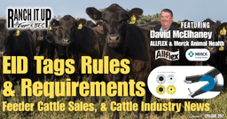 EID Tags, Cattle Sales, & Industry News
