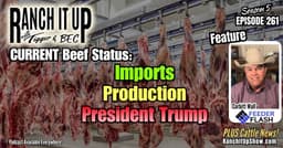 Current Beef Market: Imports, Production, Trump