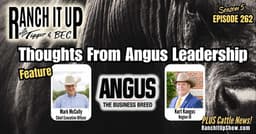 Thoughts & Comments From Angus Leadership & Cattle Industry News