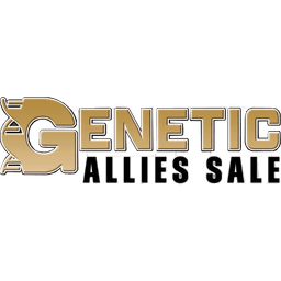 More Than Genetics: The Idea Behind Genetic Allies