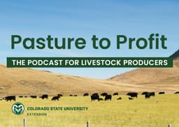 The Hidden Effects of BVDV Part 1