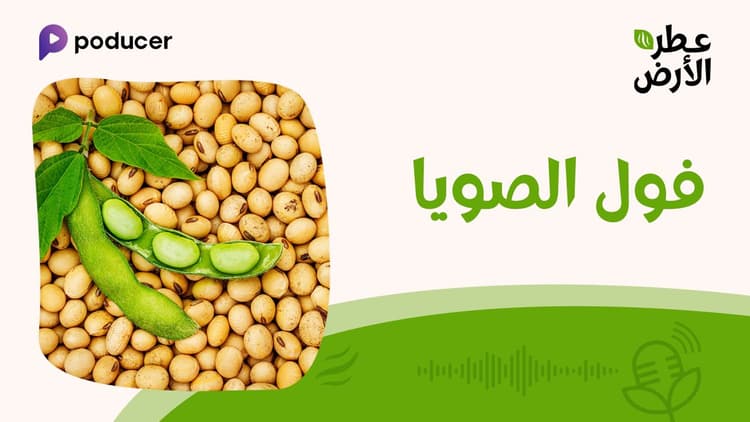 EP001 | فول الصويا