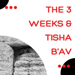 The Shmuz on Shiva Asar B'Tammuz