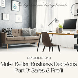 Make Better Business Decisions Part 3: Sales & Profit