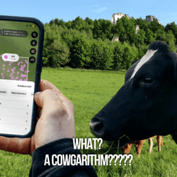What? A Cowgarithm?????